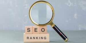 Professional SEO Services in Delhi - By SEO Experts